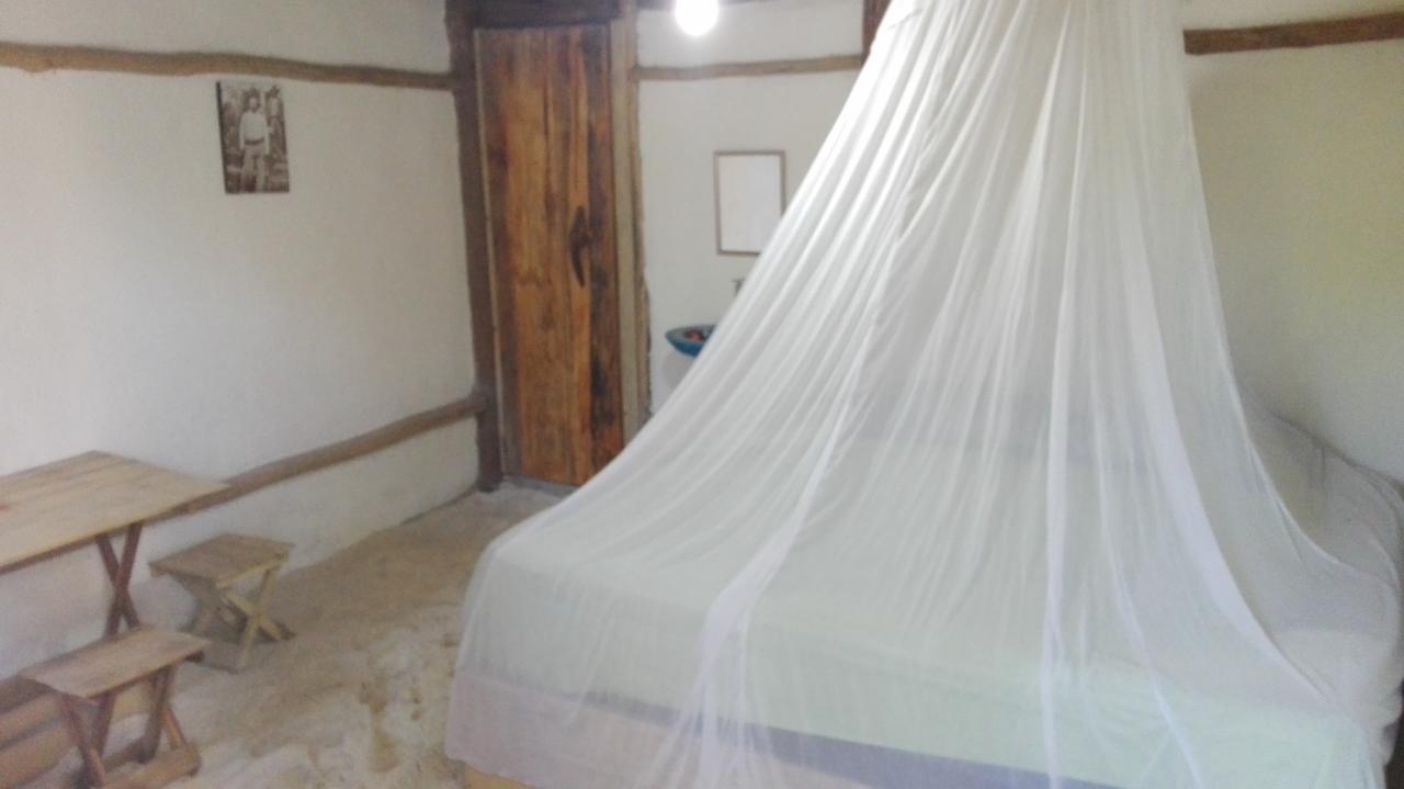 Eco Lodge Hotel Villa Tulum Bagian luar foto